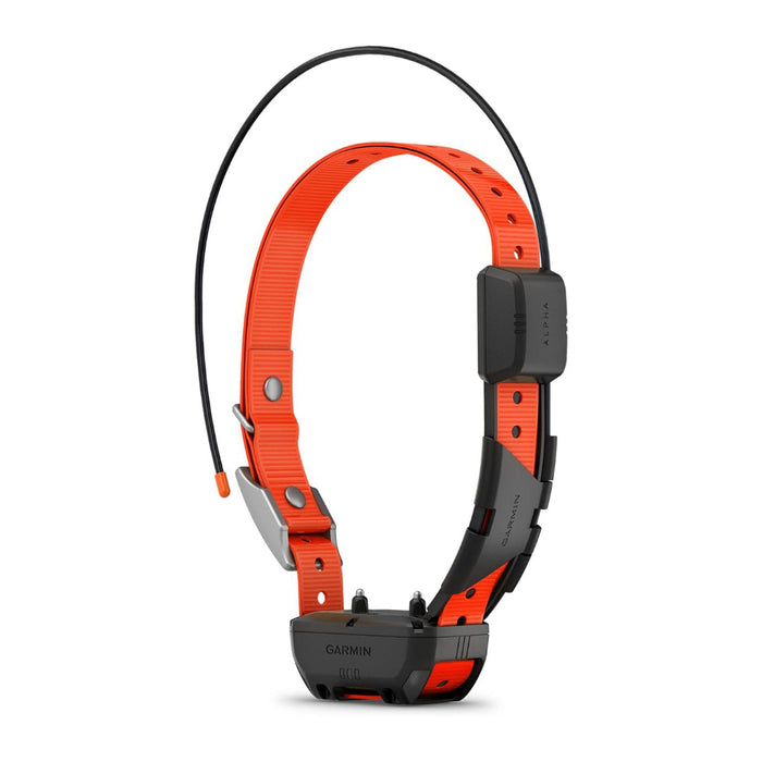 Garmin Alpha TT 25 GPS Dog Tracking and Training Collar - 010-02447-20