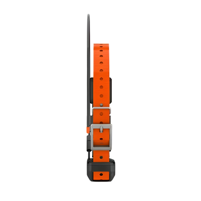 Garmin Alpha TT 25 GPS Dog Tracking and Training Collar - 010-02447-20